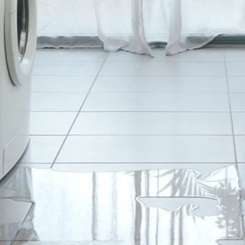 Appliance Leak Cleanup in Granite Bay, CA