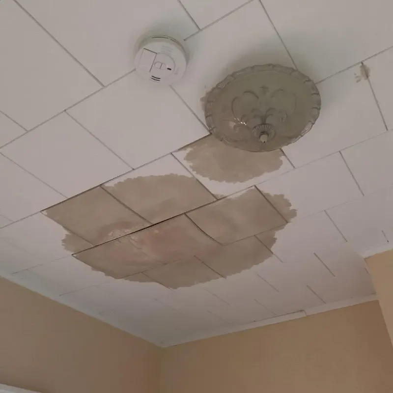 Ceiling Water Damage Repair in Granite Bay, CA