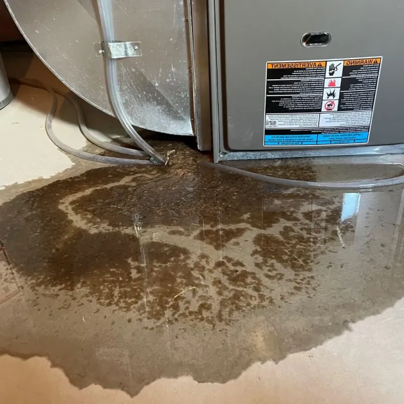 Pipe Burst and Leak Restoration in Granite Bay, CA